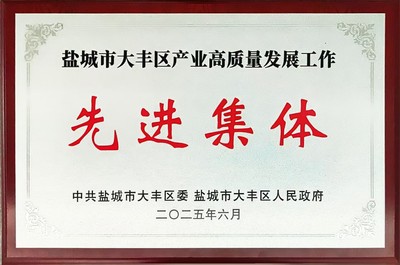 鹽城市大豐區(qū)產(chǎn)業(yè)高質(zhì)量發(fā)展工作先進集體.jpg