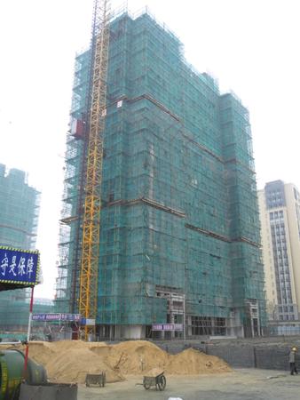 DSCI1081.JPG