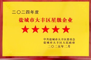 2024年盐城市大丰区五星级企业.jpg